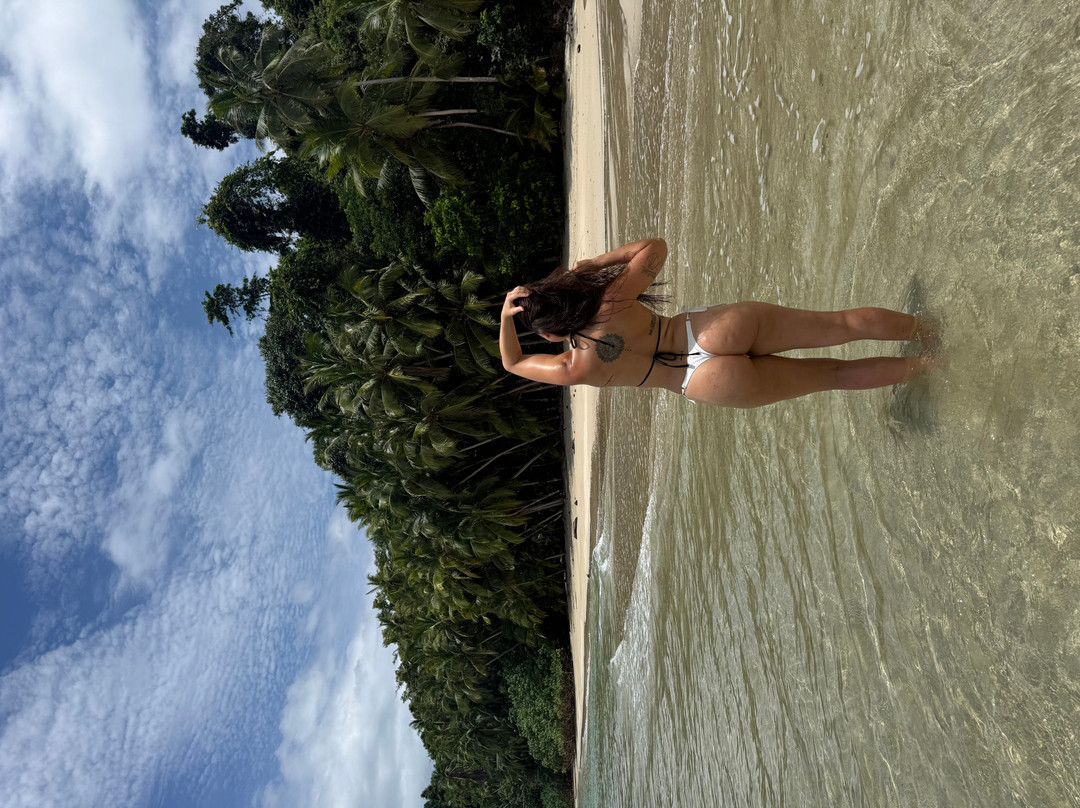 Osa Viva Tours-Puerto Jimenes必去景点