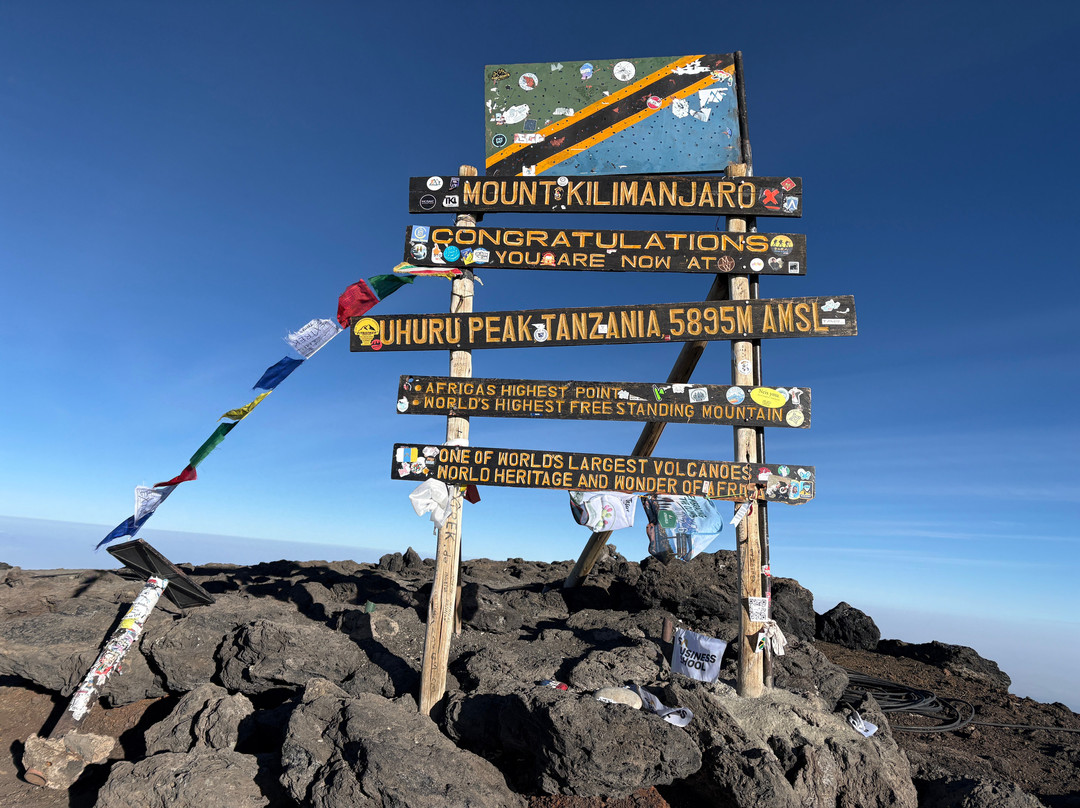 Kilimanjaro On Foot-阿鲁沙必去景点