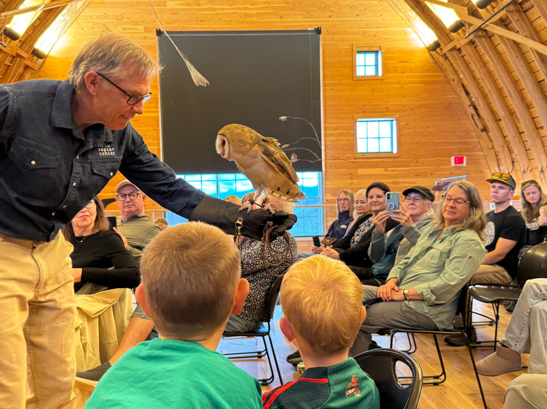 Teton Raptor Center-威尔逊必去景点