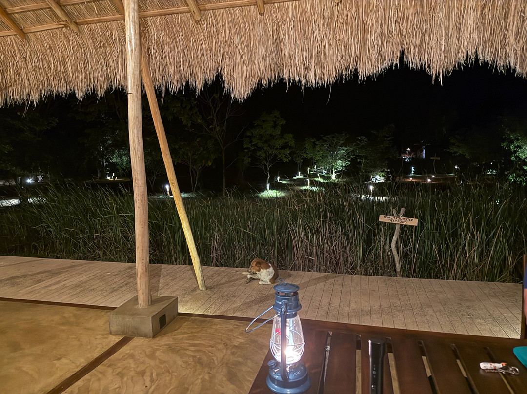 Ranakeliya Lodge - Yala