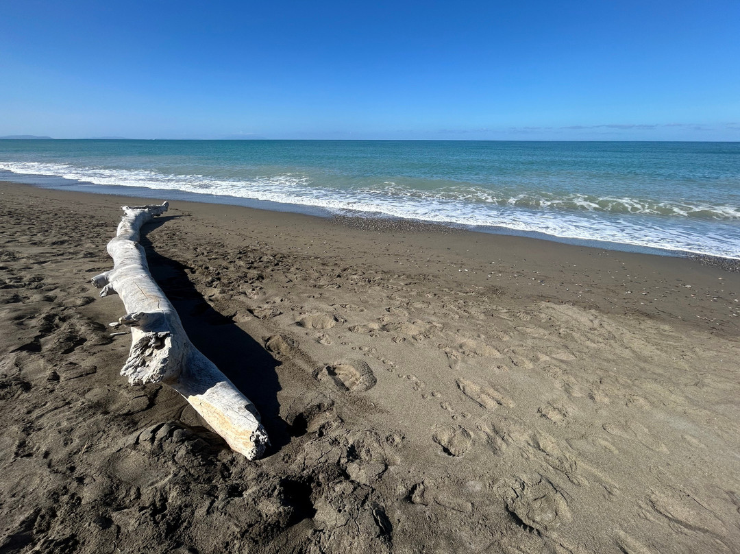 Spiaggia libera di Bibbona-Marina di Bibbona必去景点