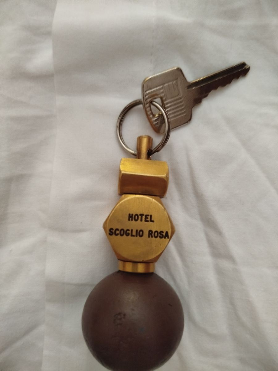 Hotel Ristorante Scoglio Rosa-旅行者