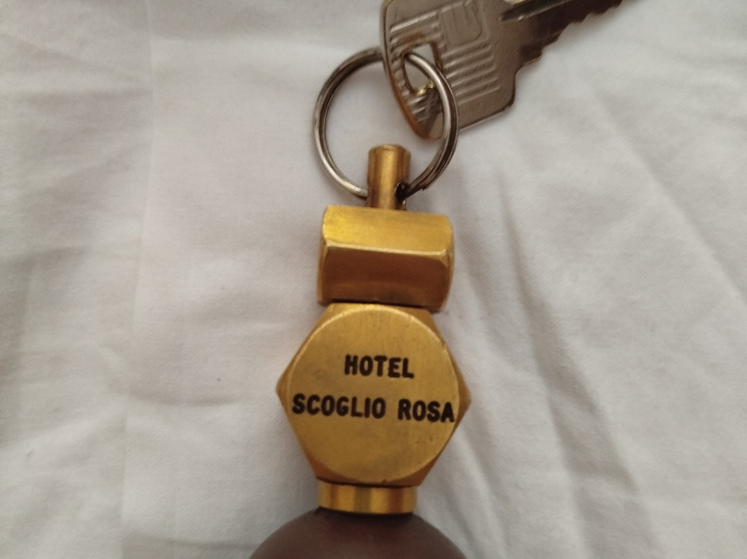 Hotel Ristorante Scoglio Rosa主图