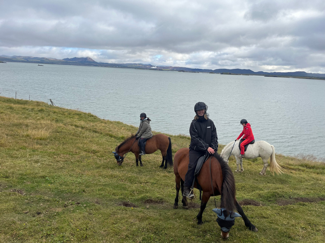 Safari Horse Rental-米湖必去景点