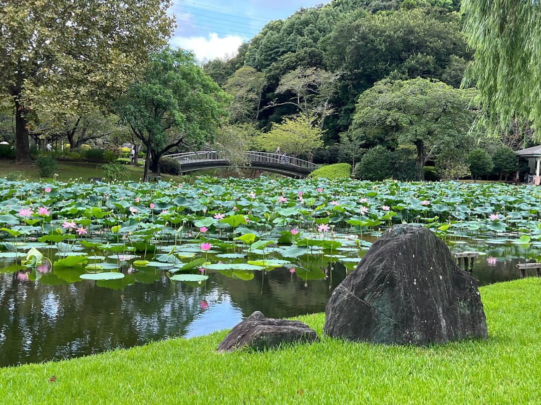 Hamamatsu Castle-滨松市必去景点