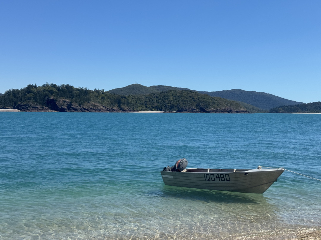 Salty Dog Sea Kayaking - Day Tours-舒特港必去景点