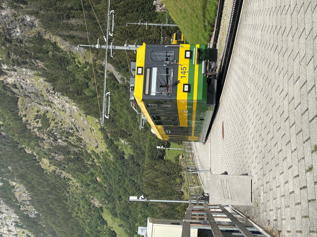 Wengernalpbahn