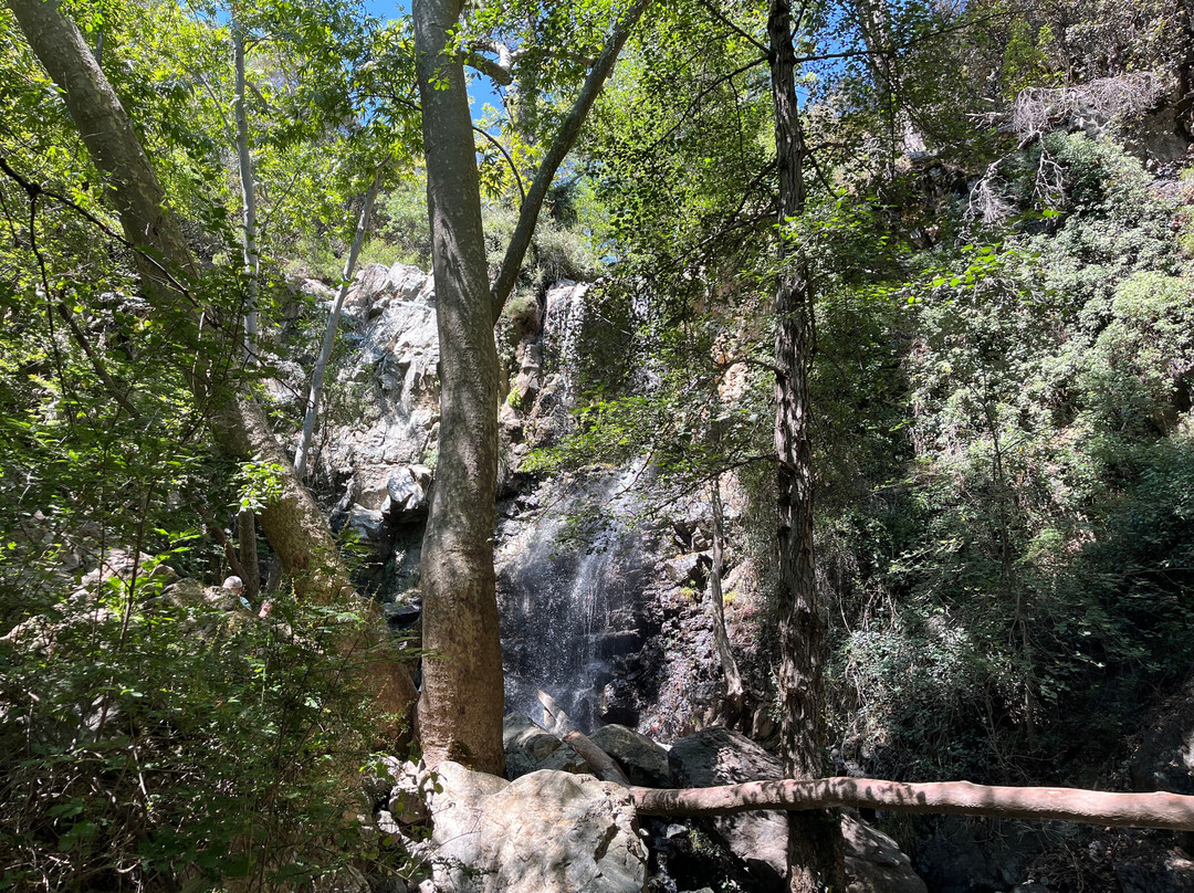 Caledonia Waterfall-帕拉翠斯必去景点