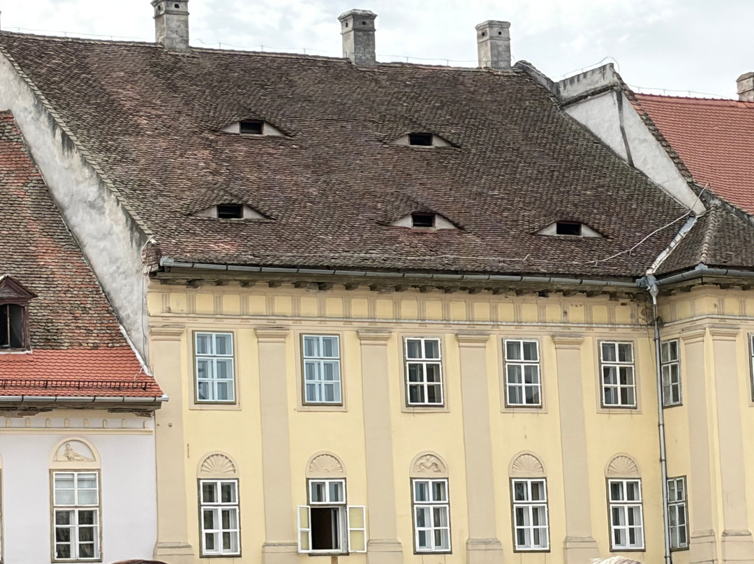 Experience Transylvania-塞比什必去景点