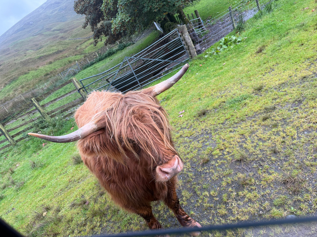 4x4 Adventures Scotland-拉斯必去景点
