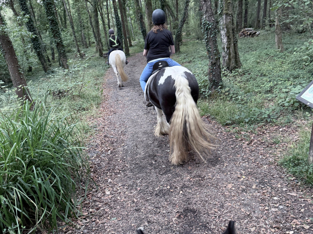 Finlake Riding Centre-Chudleigh必去景点
