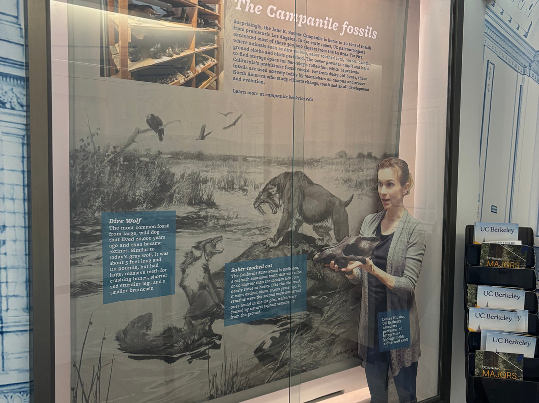 Sather Tower-伯克利必去景点
