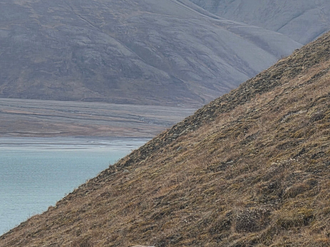 Svalbard Experts-朗伊尔城必去景点
