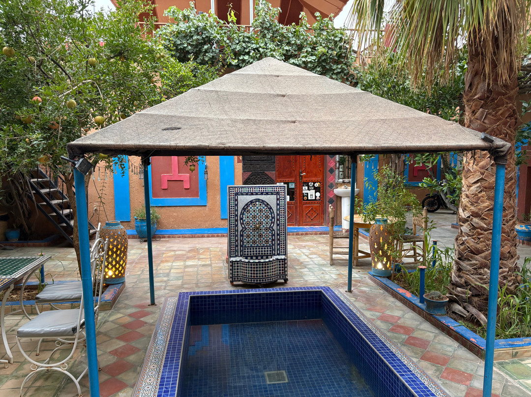 Riad Dades Birds主图