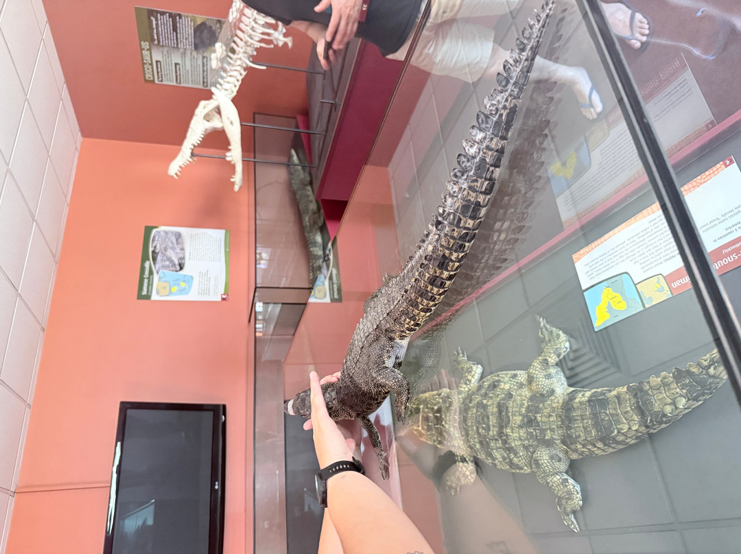 Crocosaurus Cove-达尔文市必去景点