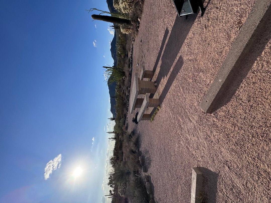 Usery Mountain Regional Park-梅萨必去景点