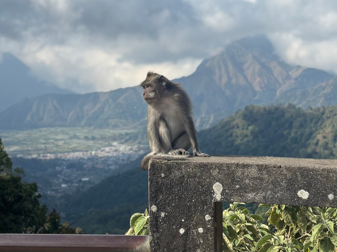 Lombok Transport Guide & Driver-Sukarara必去景点