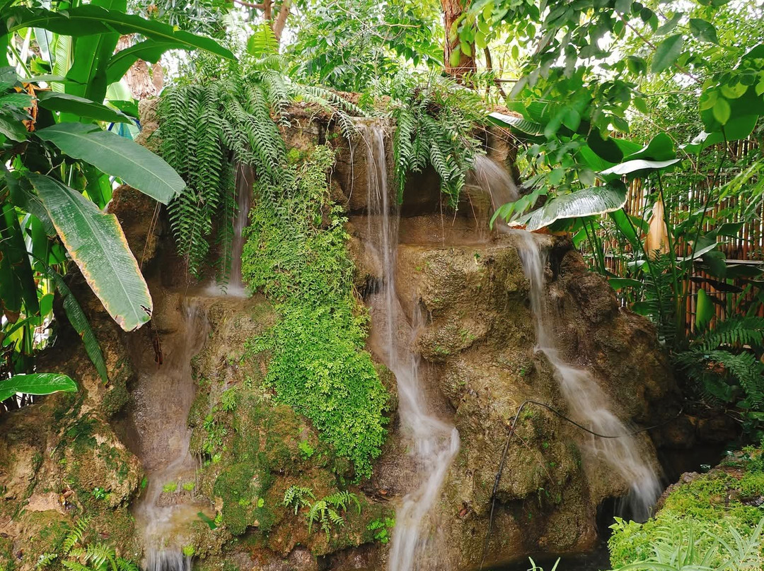 Rainforest Cafe