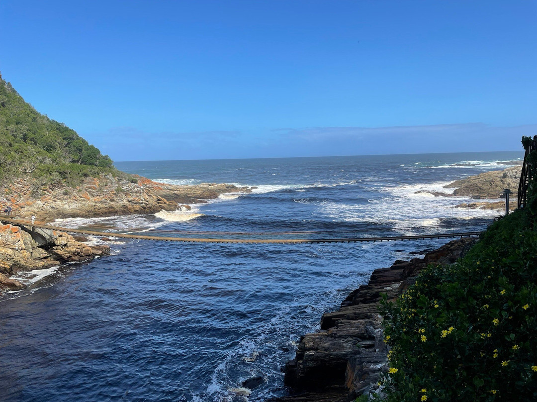 风暴河悬索桥-Tsitsikamma National Park必去景点