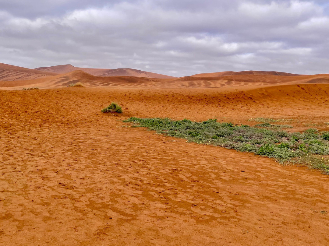 Deadvlei-苏丝斯黎必去景点