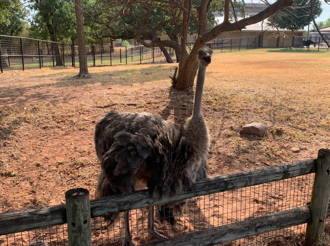 Oklahoma City Zoo and Botanical Garden-俄克拉何马城必去景点