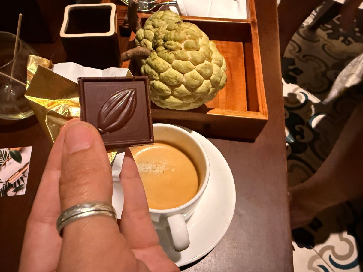 芽庄阿南酒店-旅行者