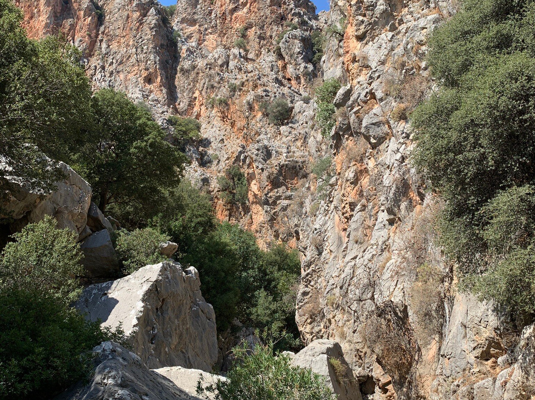 Kritsa Gorge-Kritsa必去景点