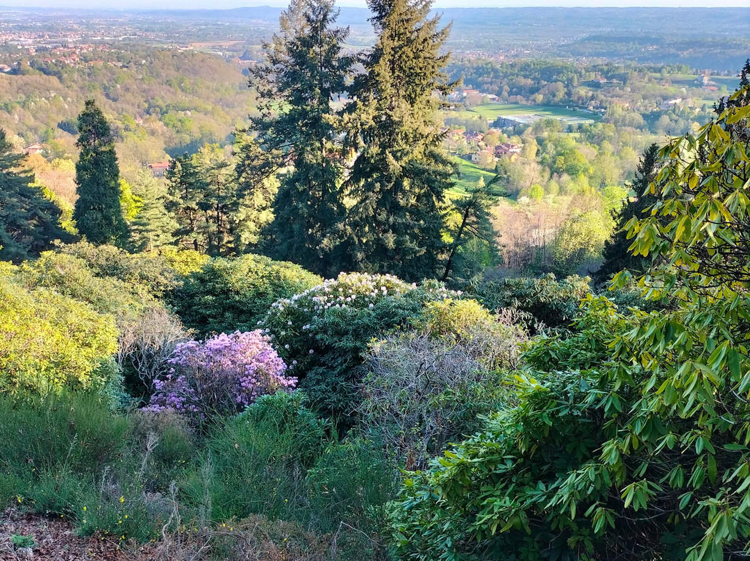 Parco della Burcina-Pollone必去景点