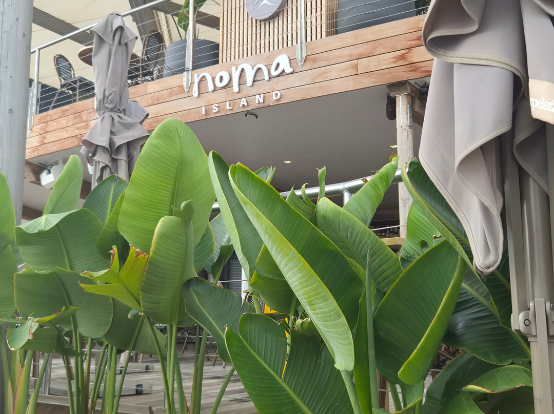 Noma Island-Marfa必去景点