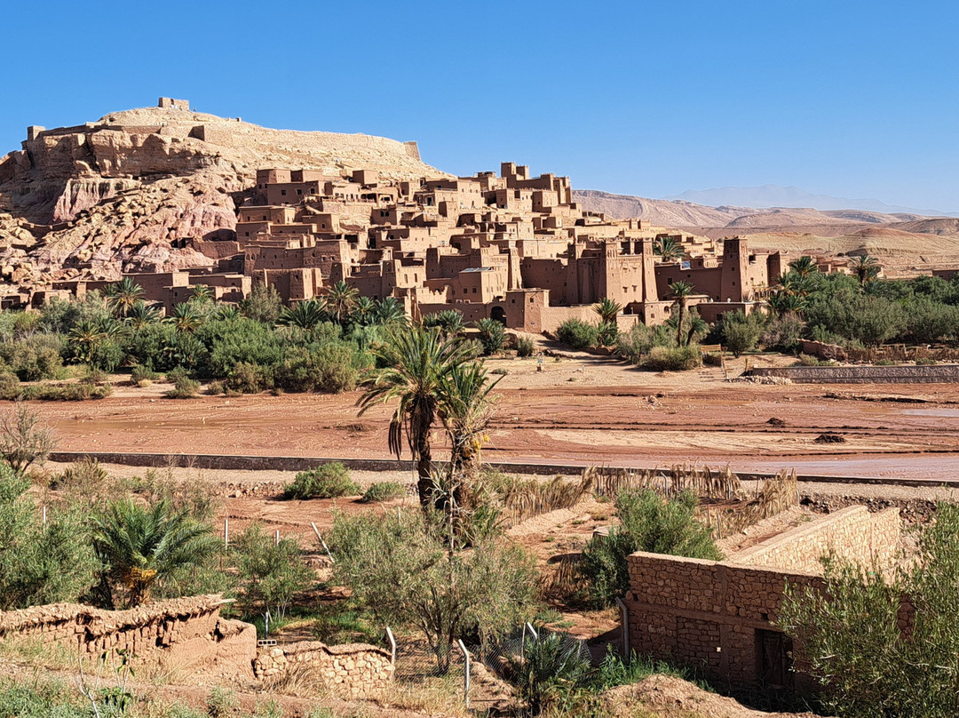 Morocco Colourful Tours-卡萨布兰卡必去景点