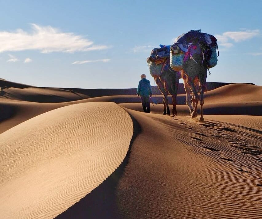 Morocco Gate Tours-非斯必去景点