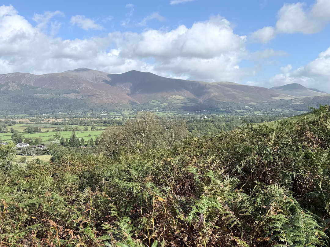 Derwent Bank主图