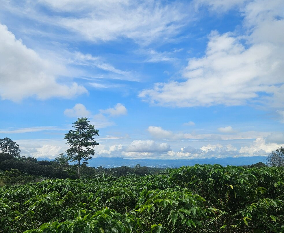 Costa Rica Itinerary-爱雷迪雅必去景点