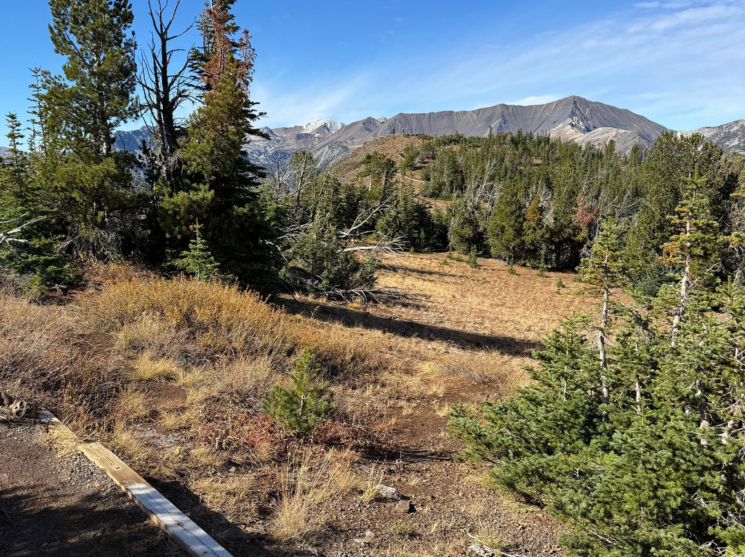 Wallowa Lake Tramway-Joseph必去景点