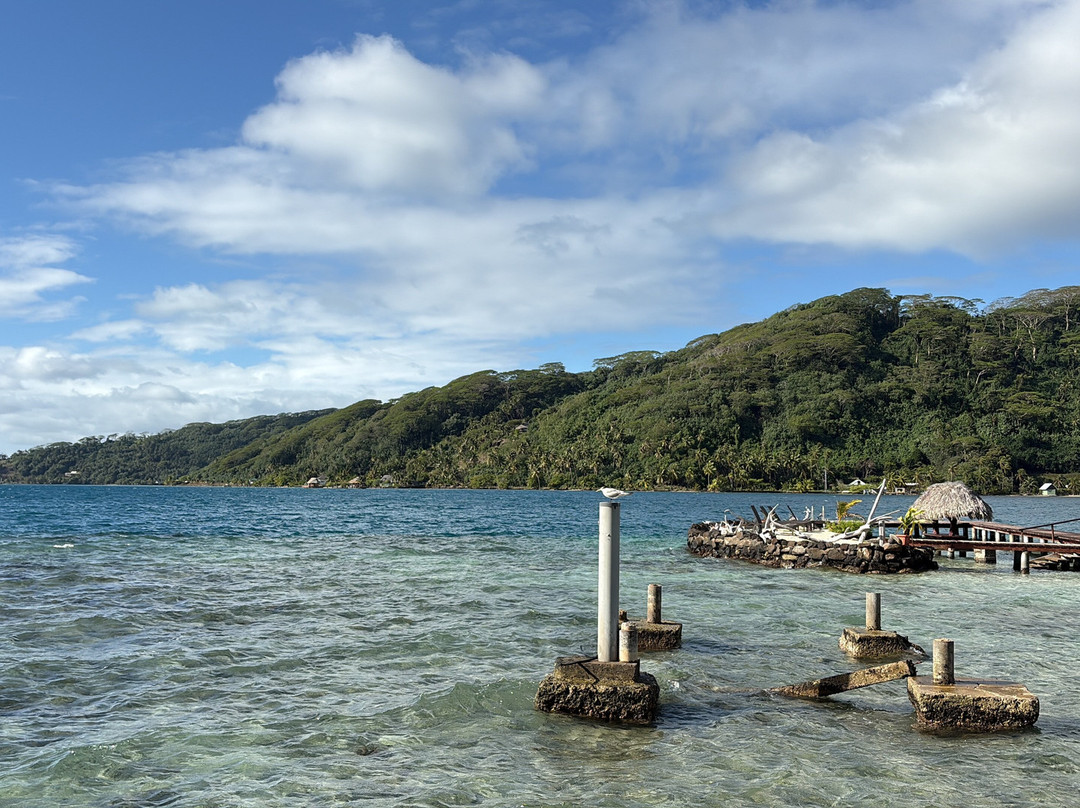 Pension Hibiscus Tahaa主图