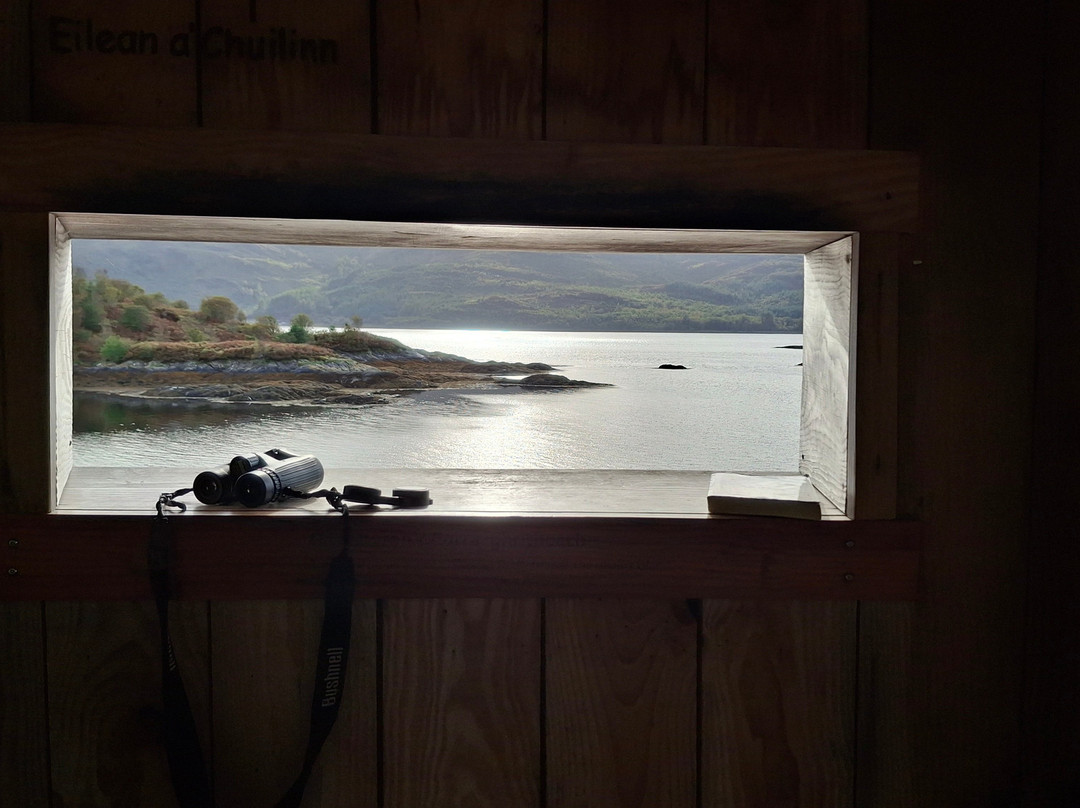 Garbh Eilean Wildlife Hide