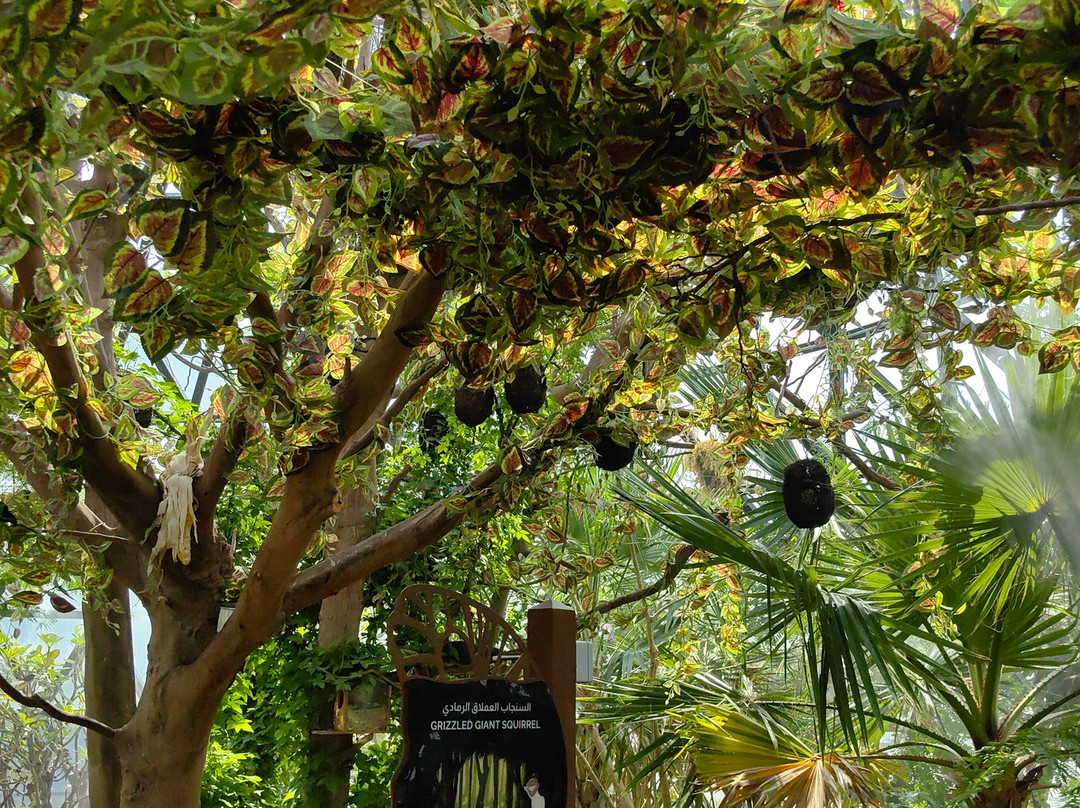 The Butterfly Gardens Abu Dhabi-阿布扎比必去景点