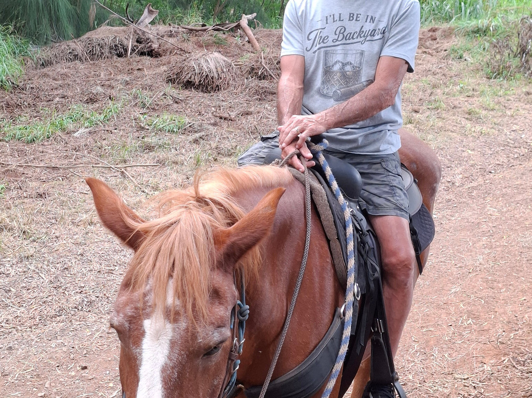 Ironwood Ranch-Napili-Honokowai必去景点