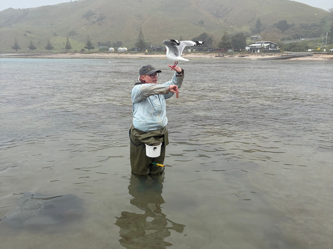 Dive Tatapouri-Gisborne Region必去景点