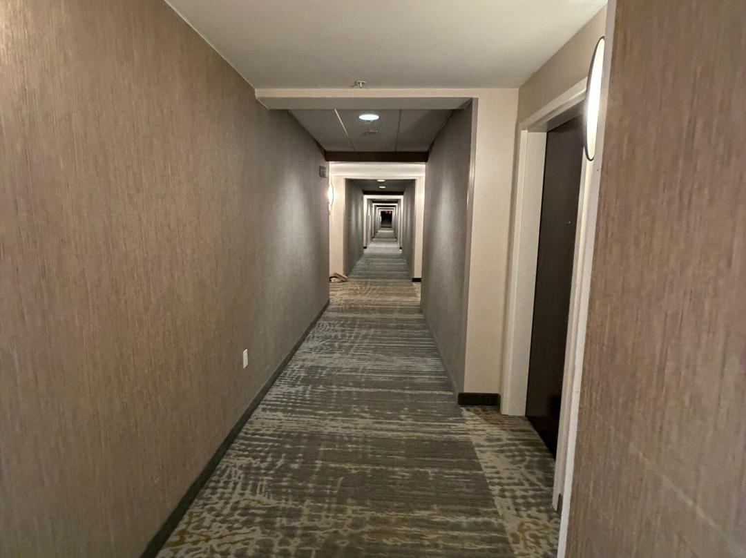 伊利万豪SpringHill酒店主图