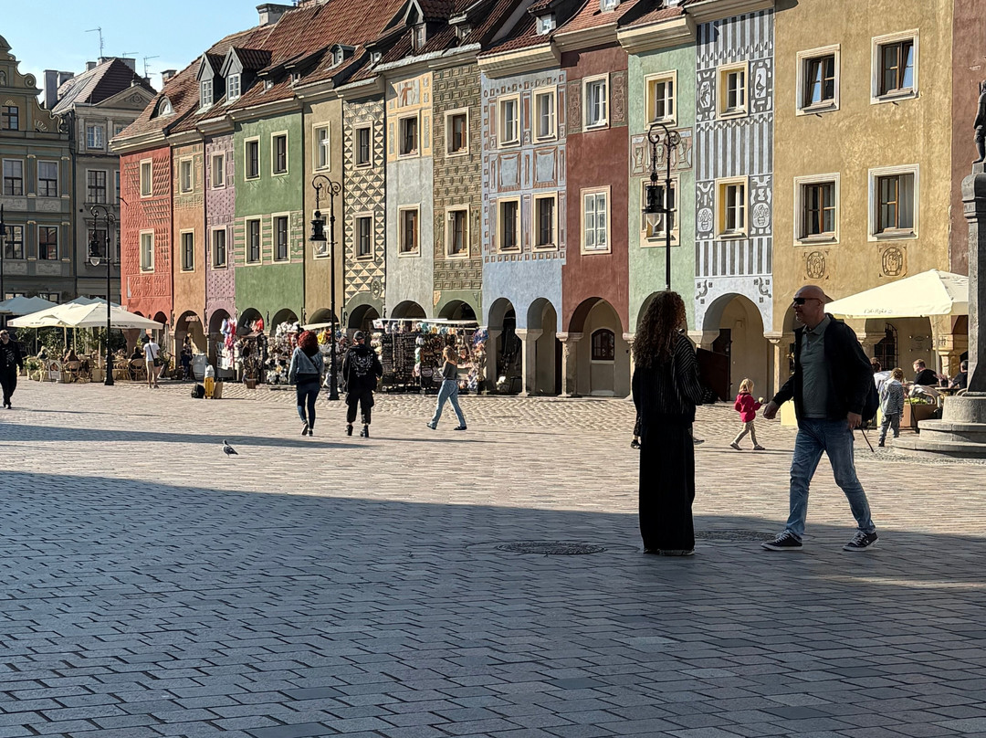 RealPoland Tours-华沙必去景点