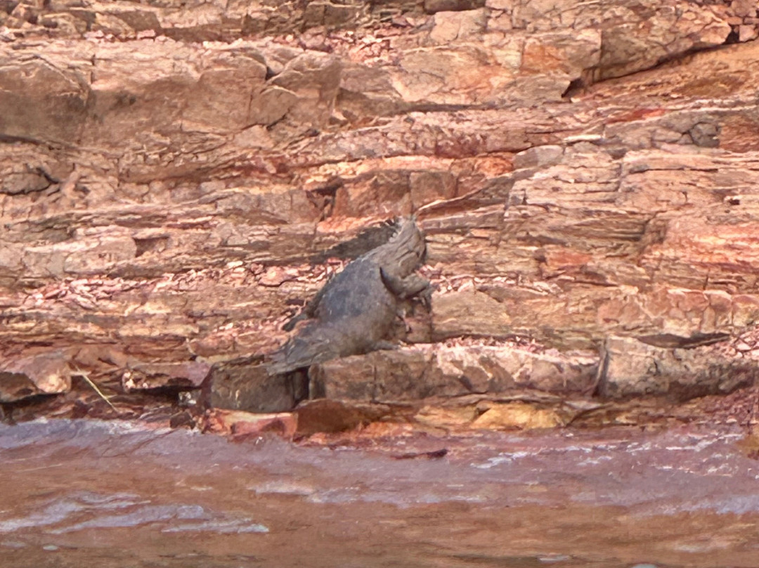 Lake Argyle Tours "Kimberley Durack"-库努纳拉必去景点