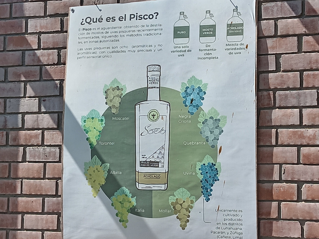 Bodega Y Viñedo Sotelo-伊卡必去景点