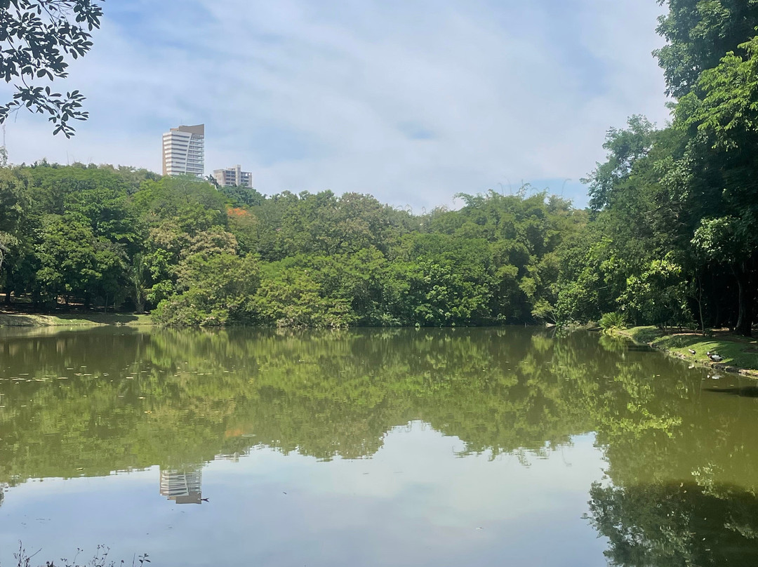 Areiao Park-戈亚尼亚必去景点