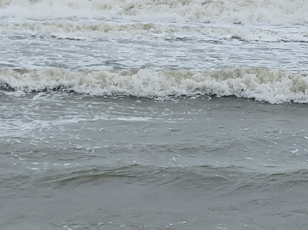 Sullivan's Island Beach-Sullivan's Island必去景点