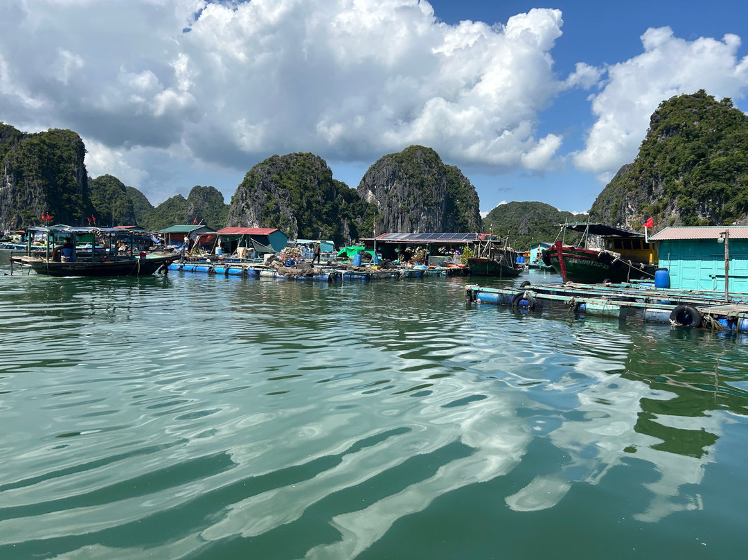 Cat Ba Kayak Adventures-下龙湾必去景点