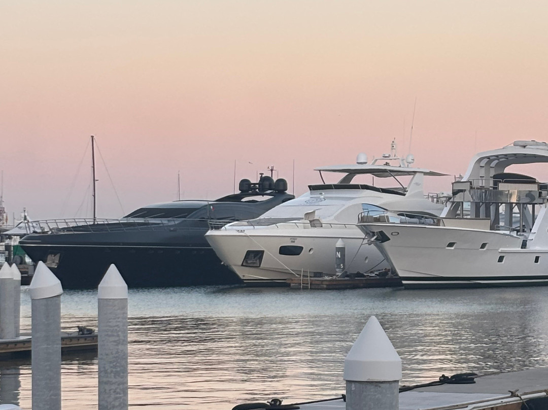 Marina Cabo San Lucas-卡波圣卢卡斯必去景点