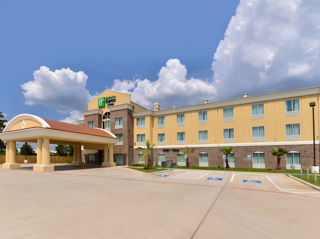 Holiday Inn Express & Suites Houston Nw - Tomball Area By IHG主图