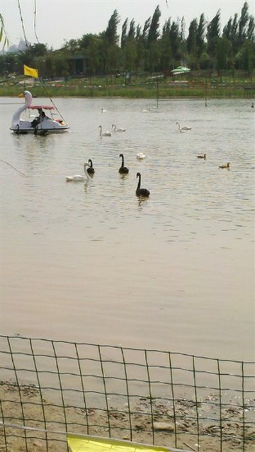 成都活水公园-成都必去景点