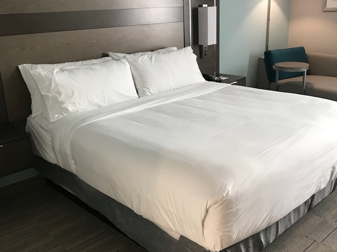 Holiday Inn Express & Suites Lake Charles South Casino Area By IHG